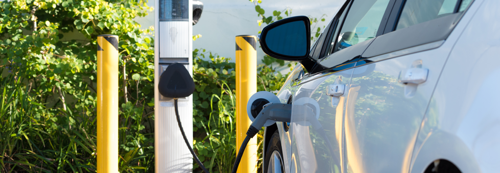 Grid Visibility Using Smart Metering Data Grid Visibility Using Smart Metering Data